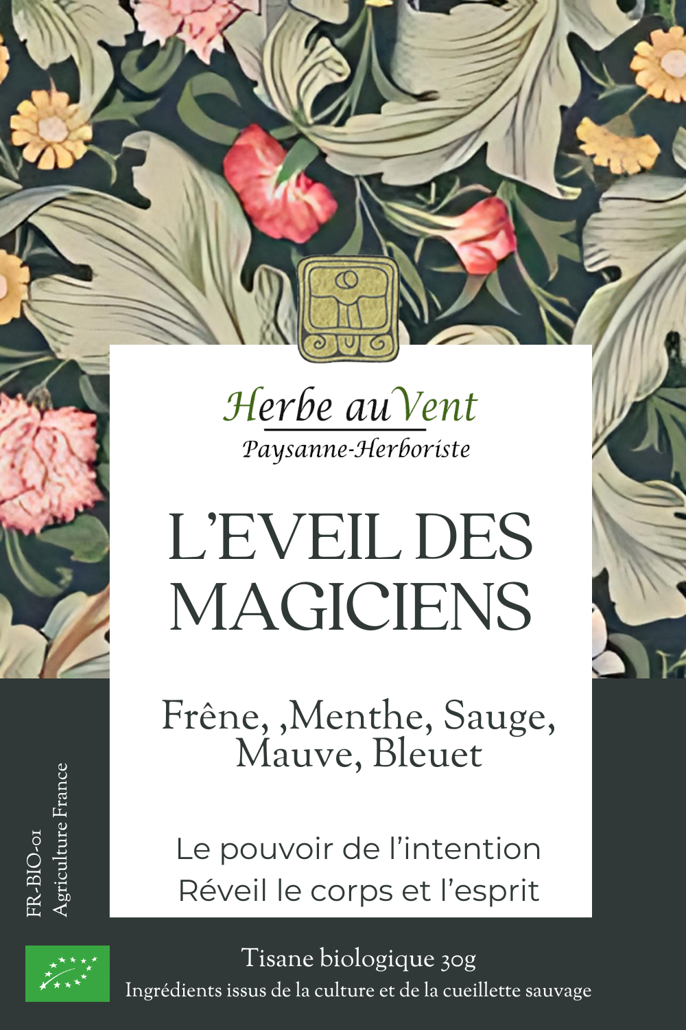 L'éveil des magiciens