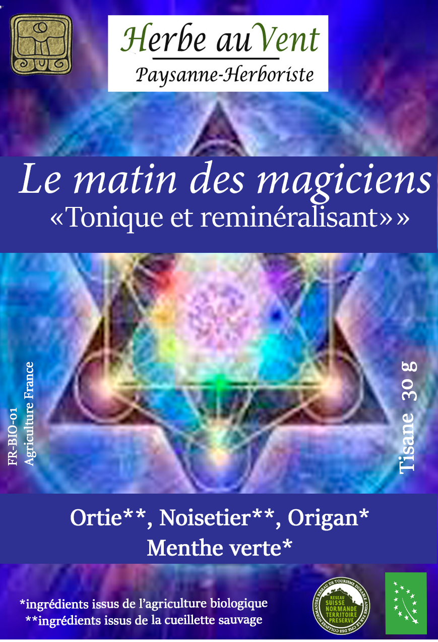 Le matin des magiciens