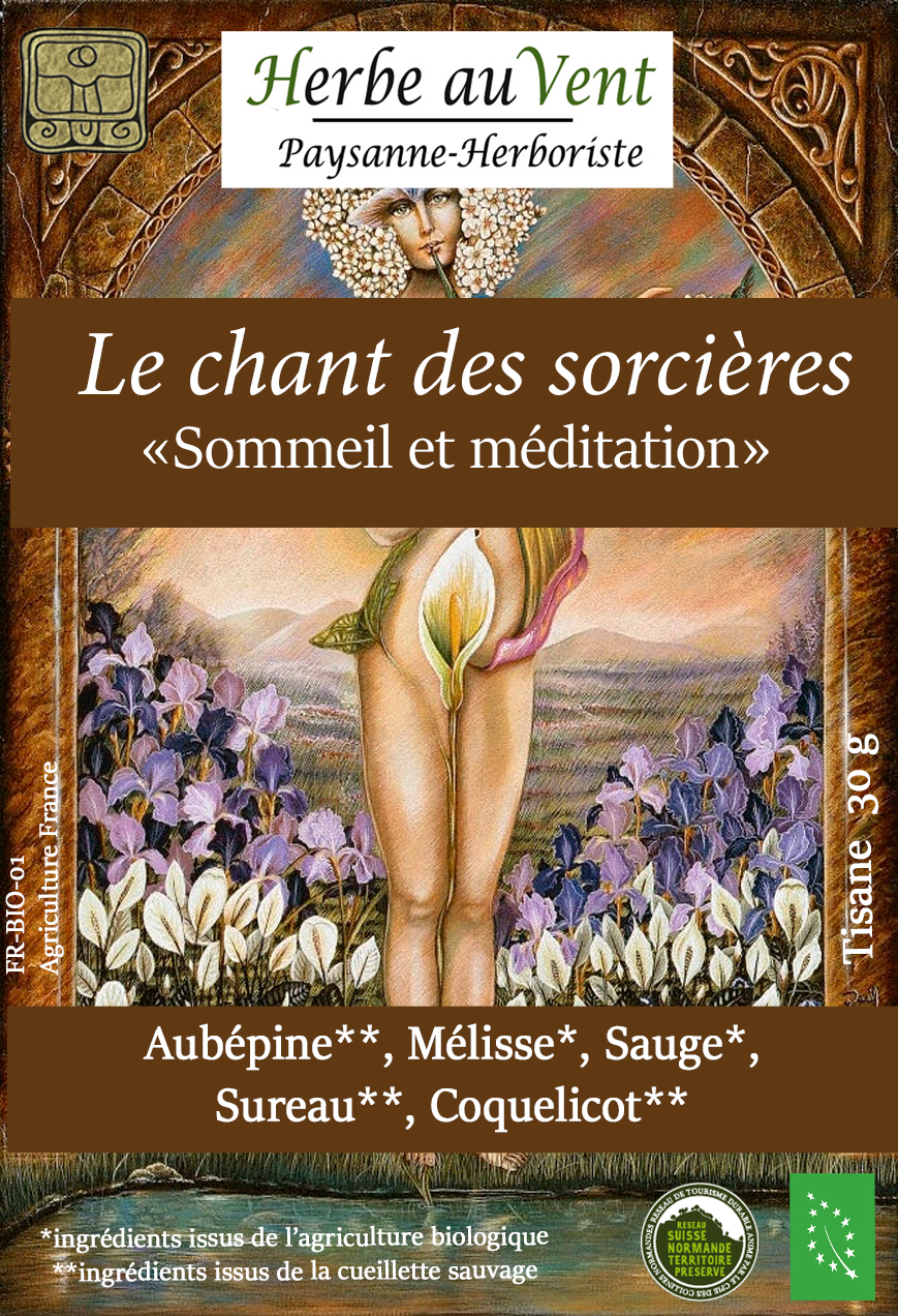 Le chant des sorcières