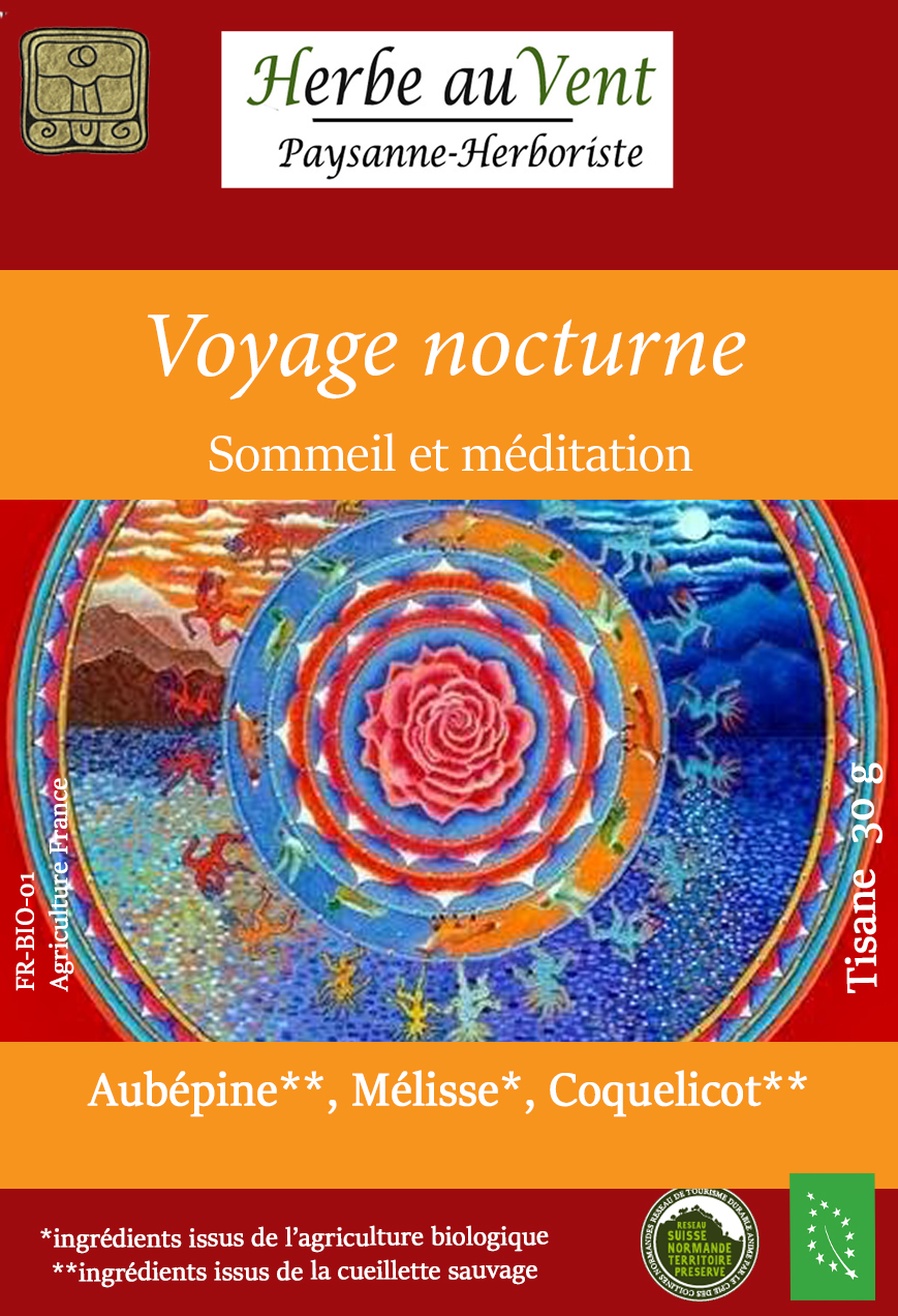 Voyage nocturne