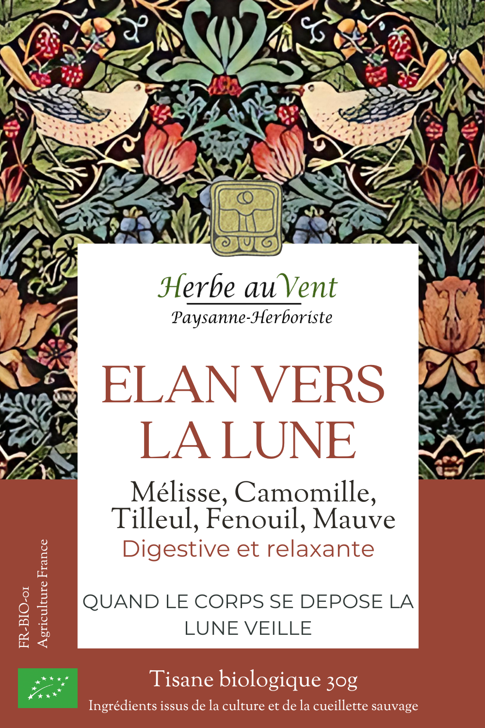 Elan vers la lune