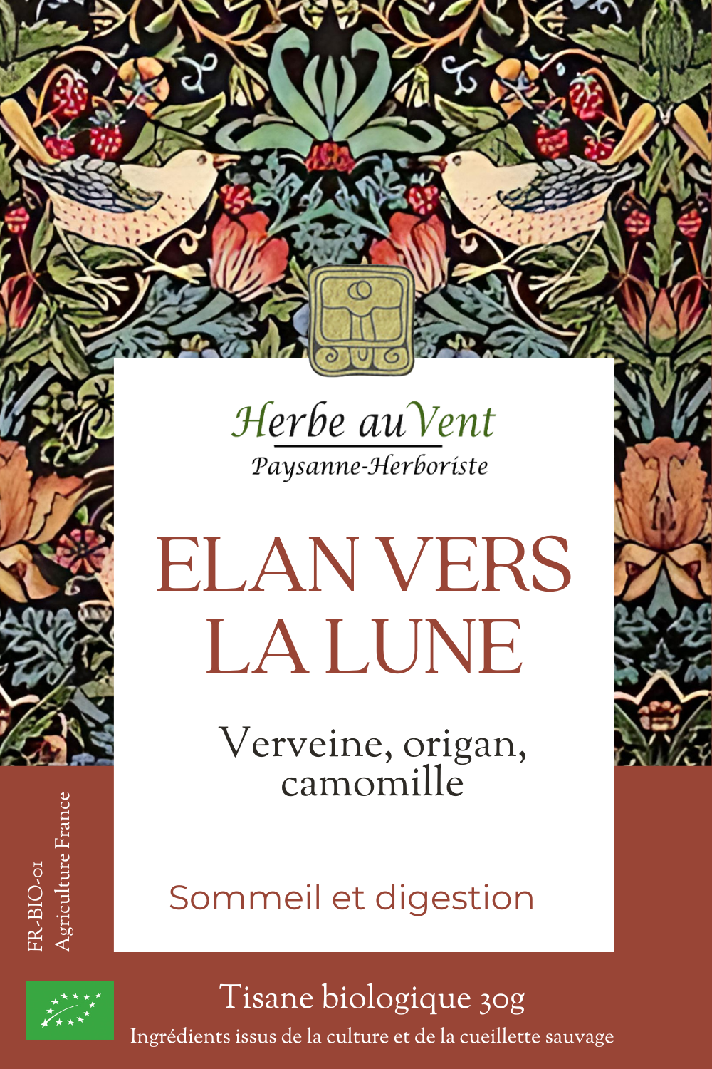 Elan vers la lune