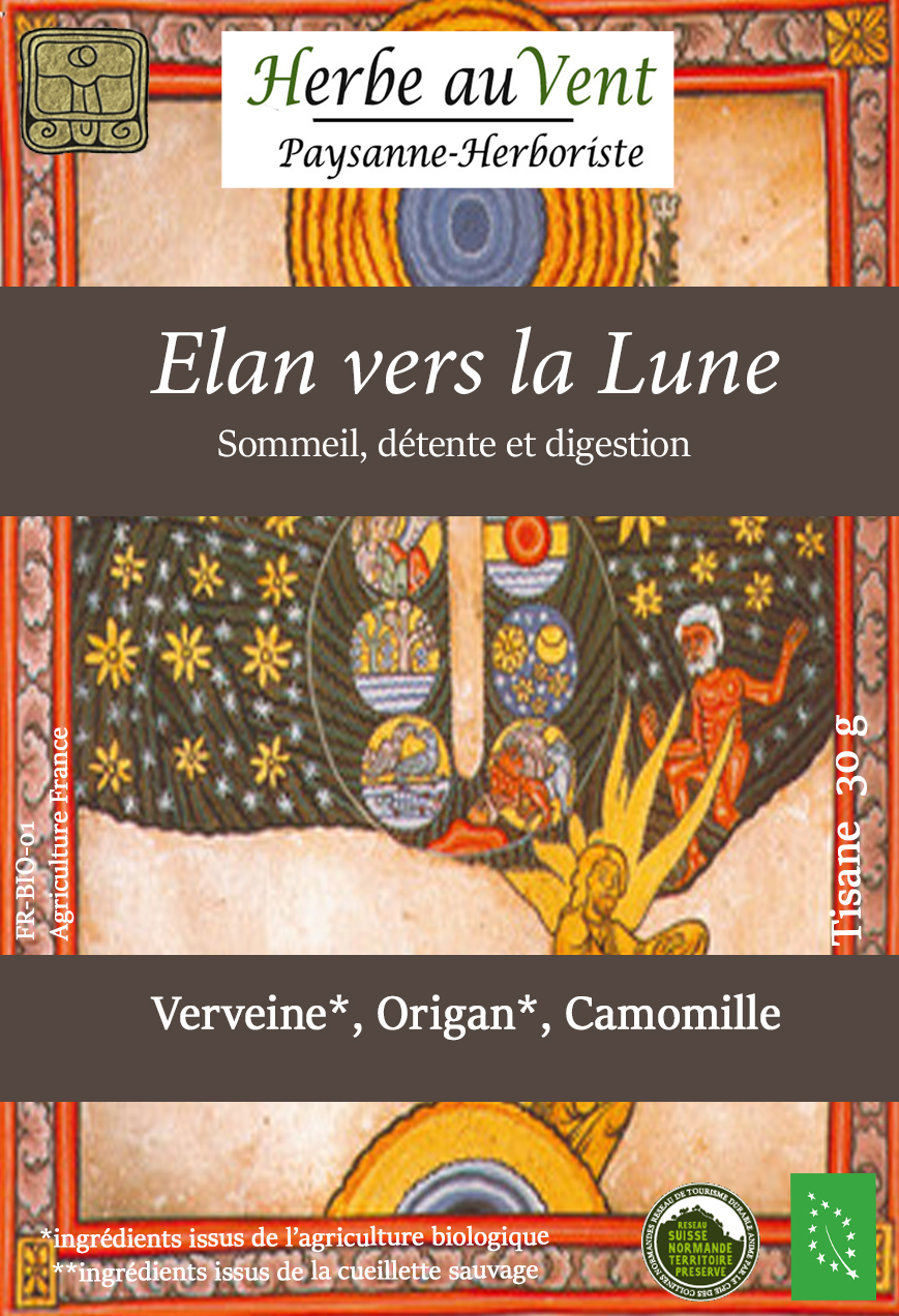 Elan vers la lune