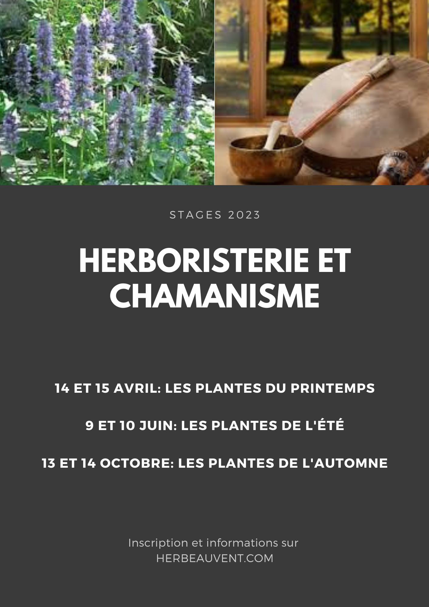 Herboristerie et chamanisme